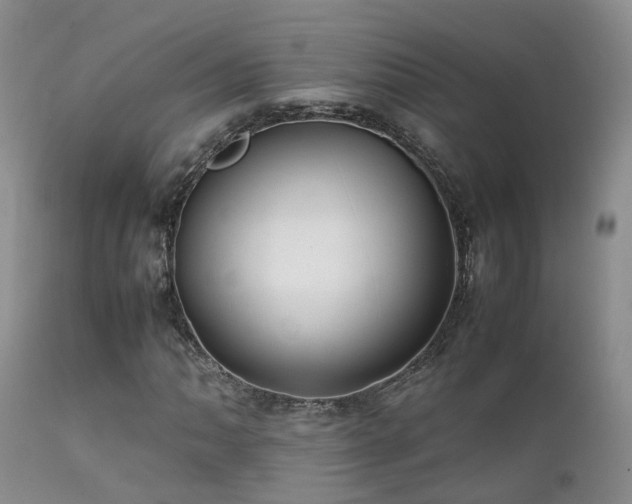 X0000112111062200908111437