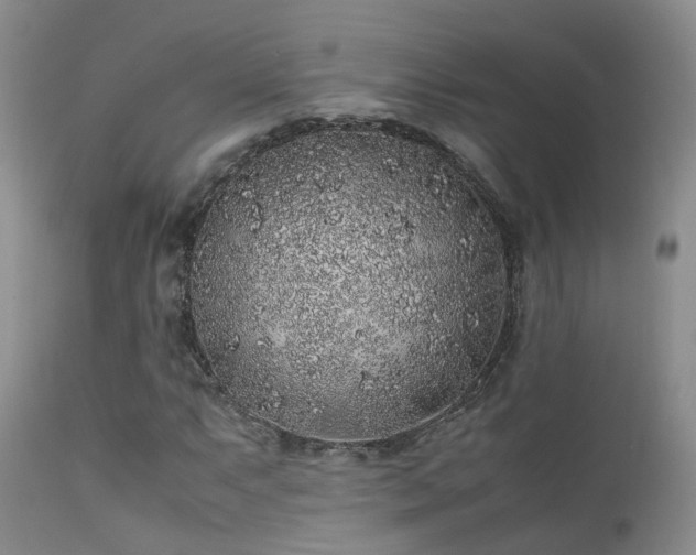 X0000112111063200908111437