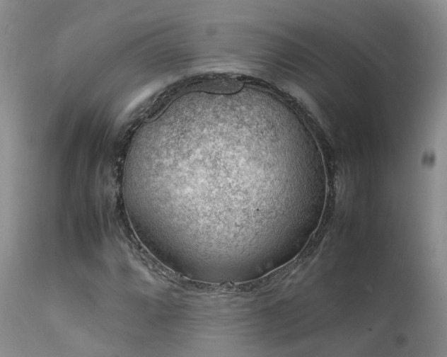 X0000112111064200908111437