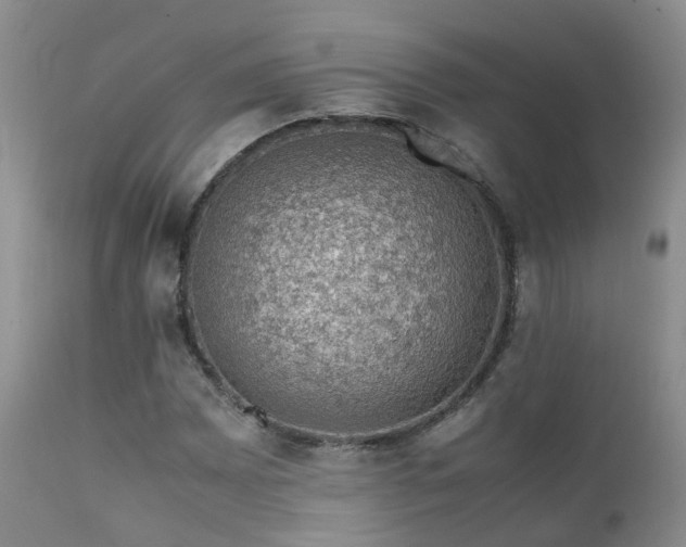 X0000112111065200908111437