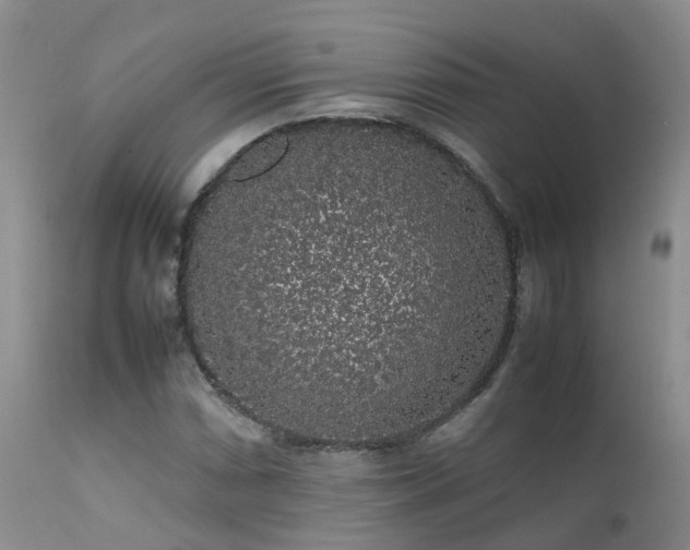 X0000112111066200908111437