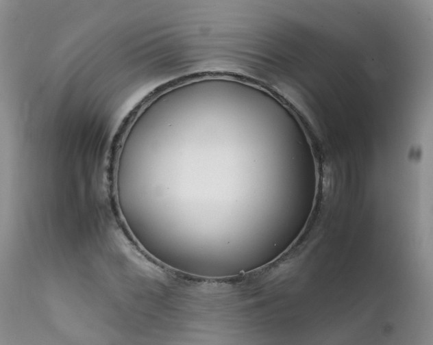 X0000112111068200908111437