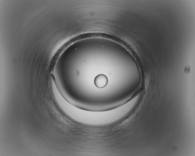 X0000112111069200908111437