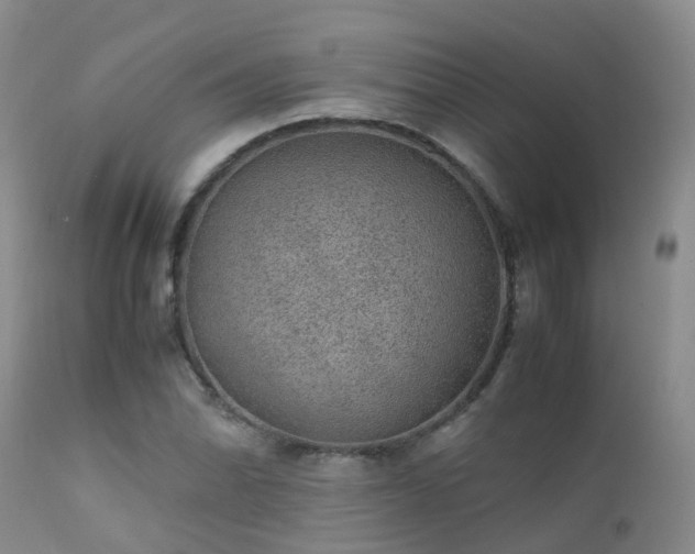 X0000112111070200908111437