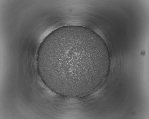 X0000112111071200908111437