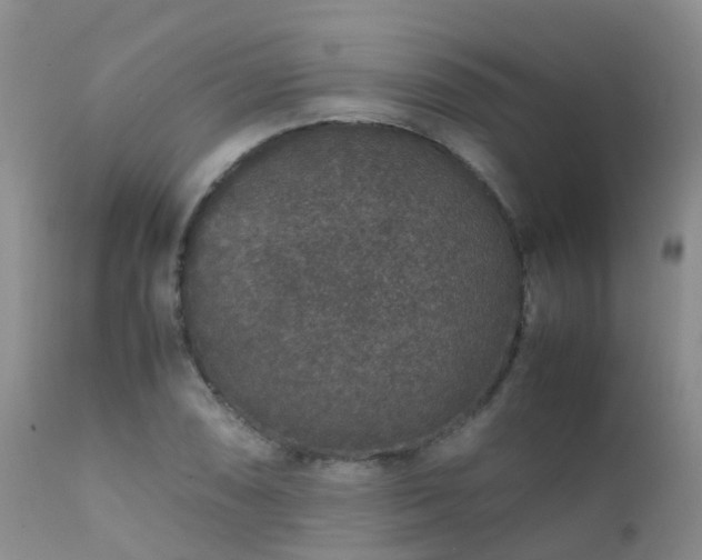 X0000112111074200908111436