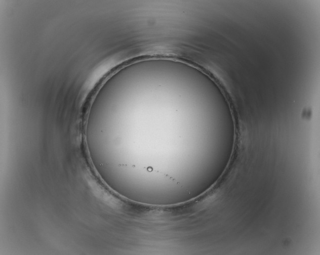 X0000112111075200908111436