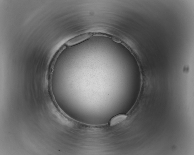 X0000112111076200908111436