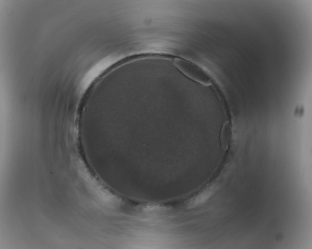 X0000112111077200908111436