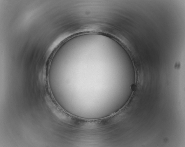 X0000112111078200908111436