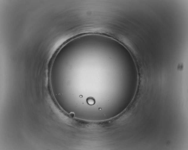 X0000112111079200908111436