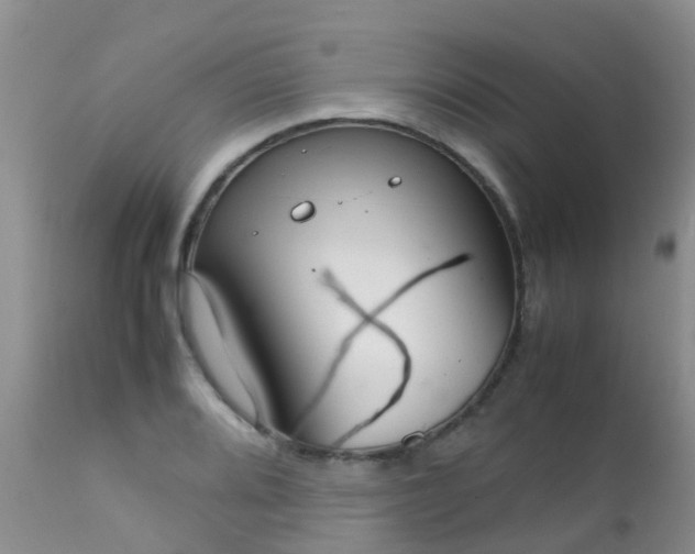 X0000112111080200908111436