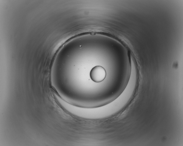 X0000112111081200908111436