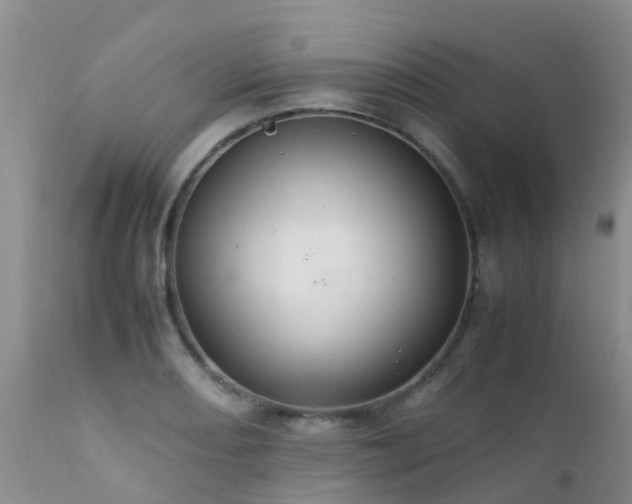 X0000112111082200908111436