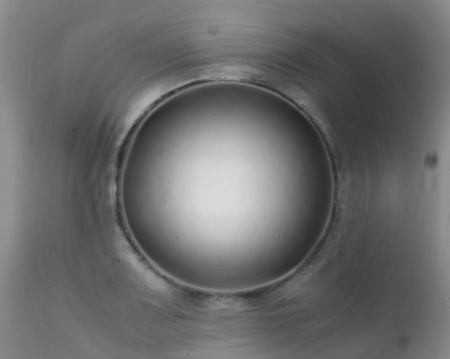 X0000112111083200908111436