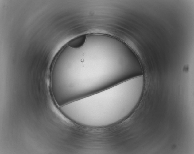 X0000112111084200908111436