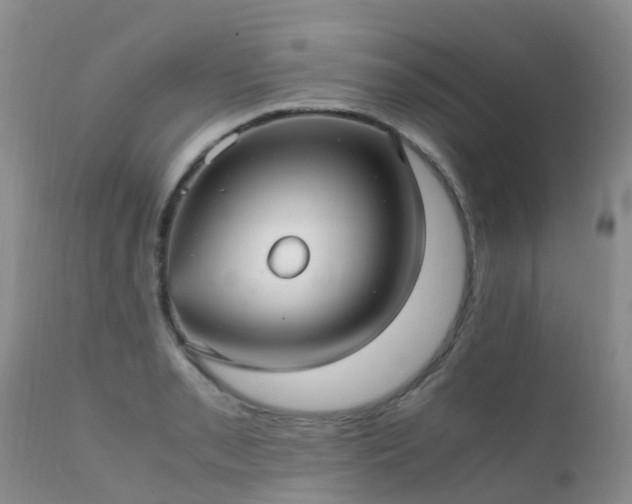 X0000112111085200908111436