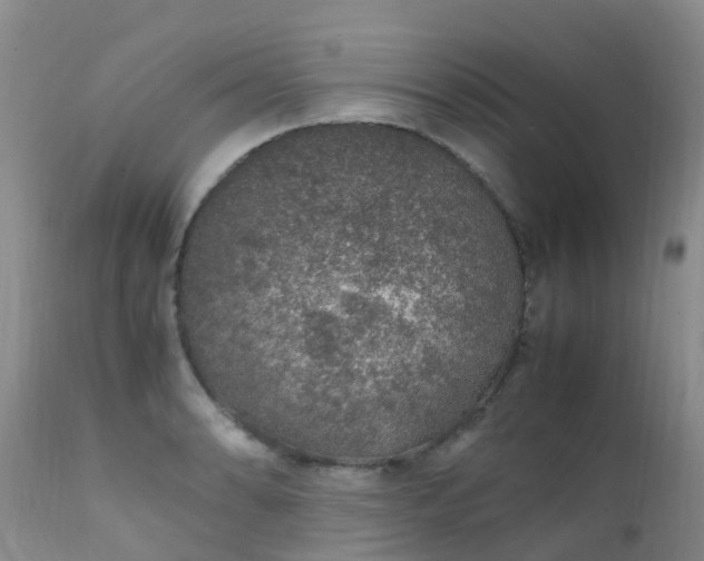 X0000112111086200908111436