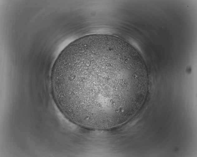 X0000112111087200908111436