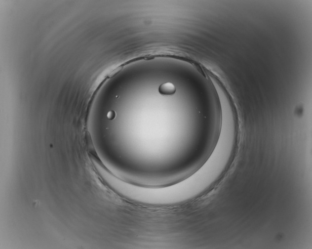 X0000112111089200908111436