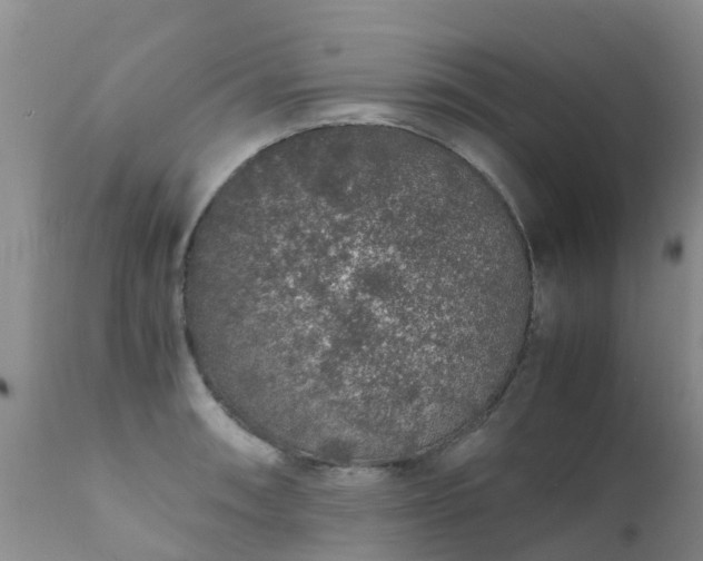 X0000112111090200908111436