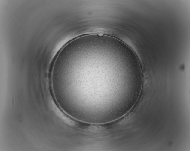 X0000112111091200908111436