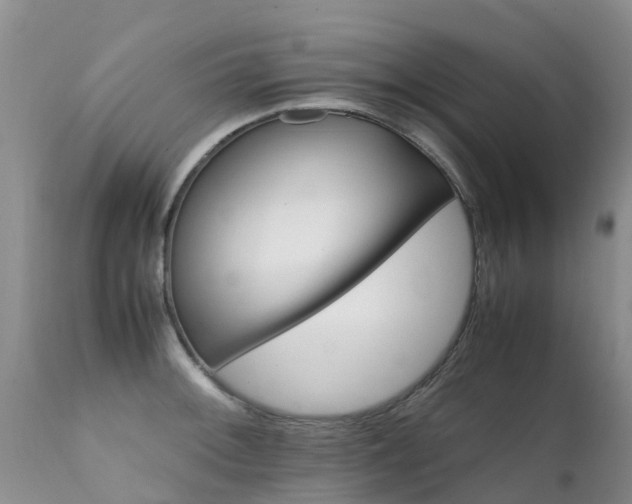 X0000112111092200908111436