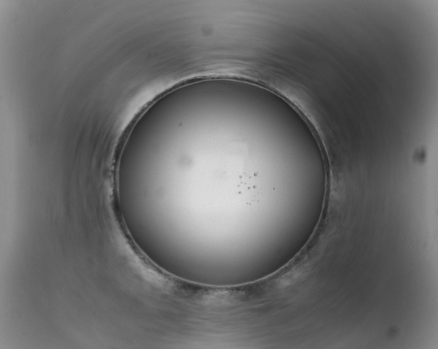 X0000112111093200908111436