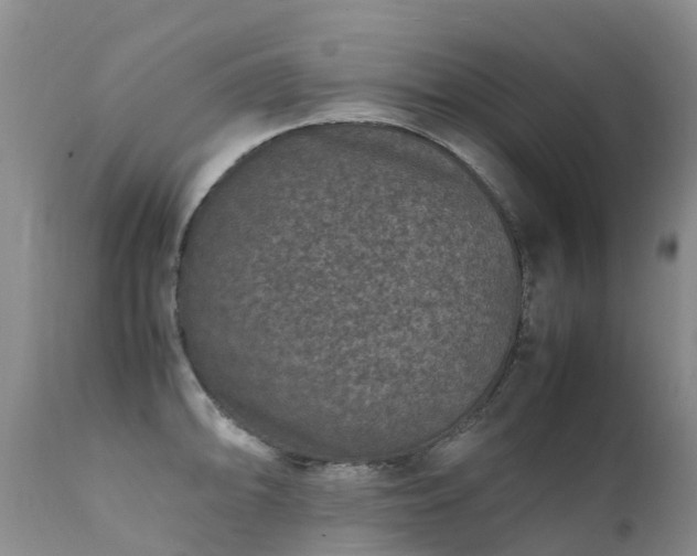 X0000112111094200908111436