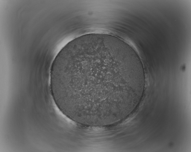 X0000112111095200908111436