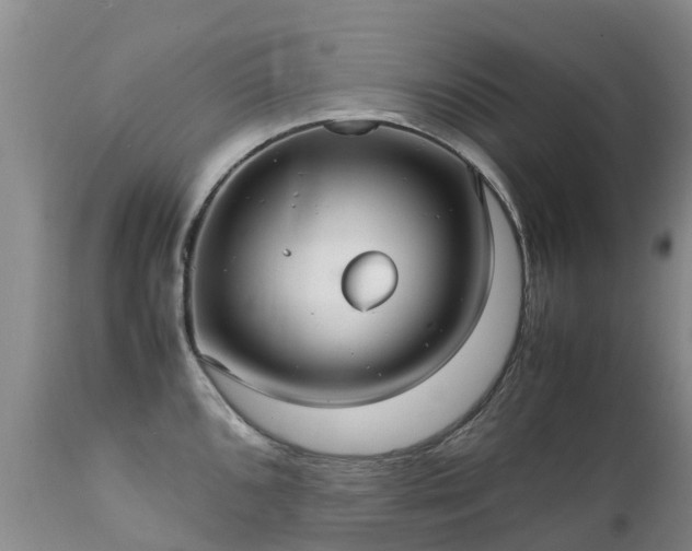 X0000112111096200908111436