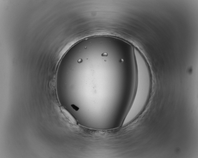 X0000112111097200908111436