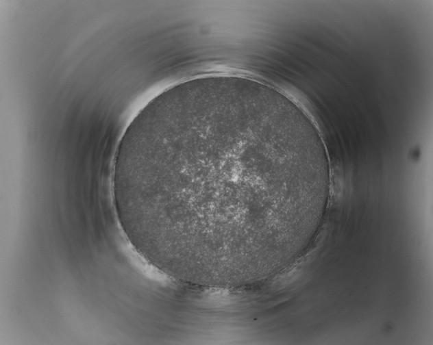 X0000112111098200908111436