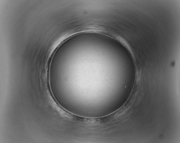 X0000112111099200908111436