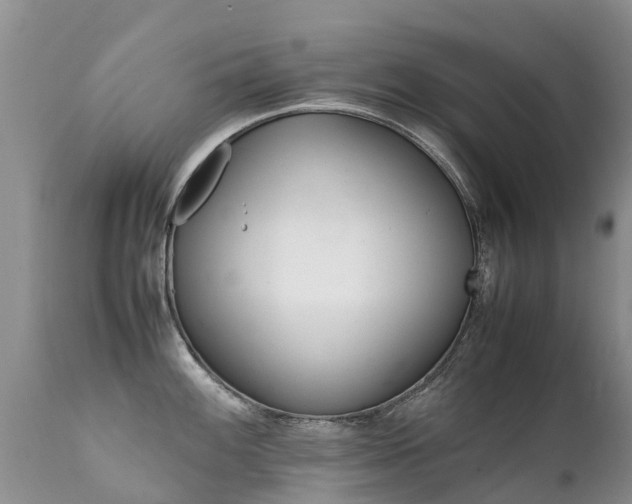 X0000112111100200908111436