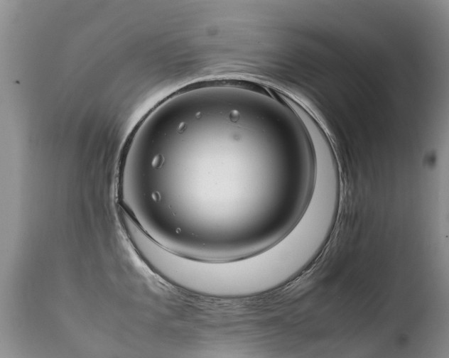 X0000112111101200908111436