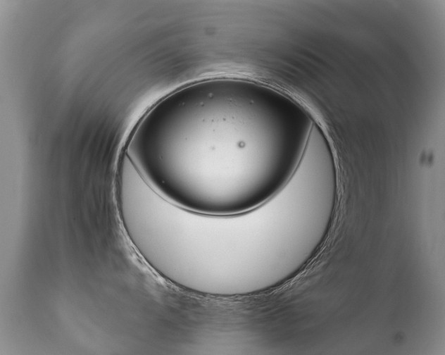 X0000112111104200908111436