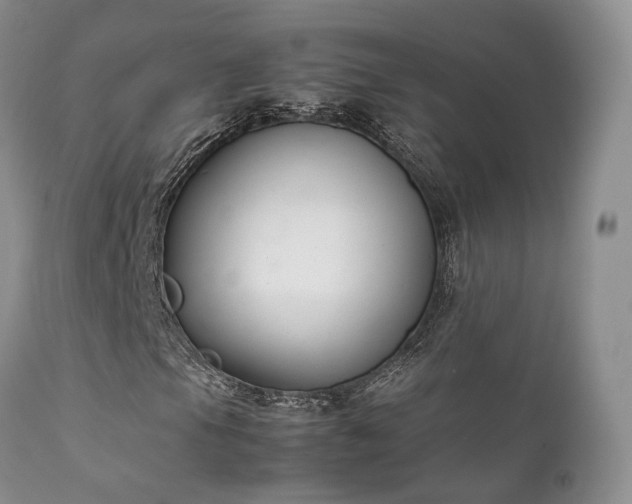 X0000112111105200908111435