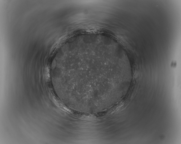 X0000112111106200908111435