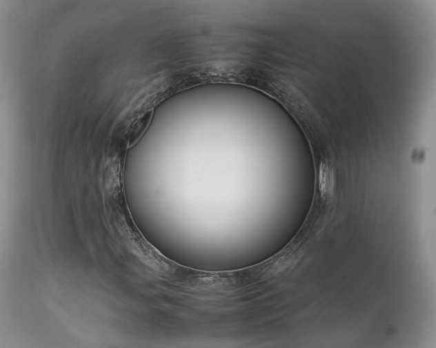 X0000112111107200908111435