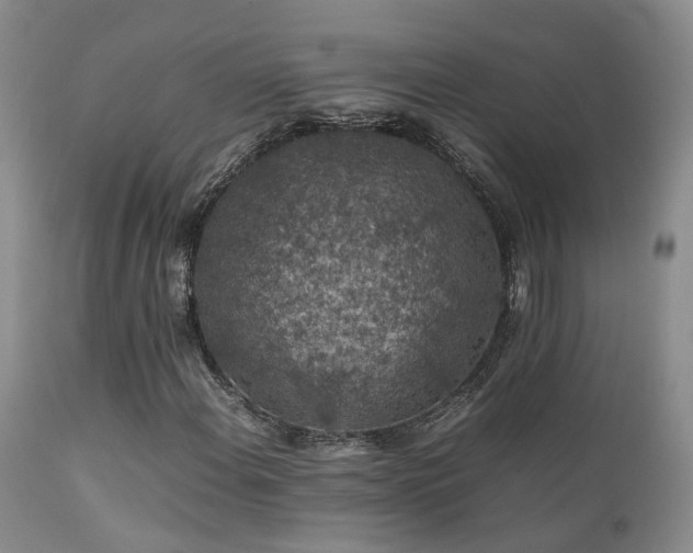 X0000112111108200908111435