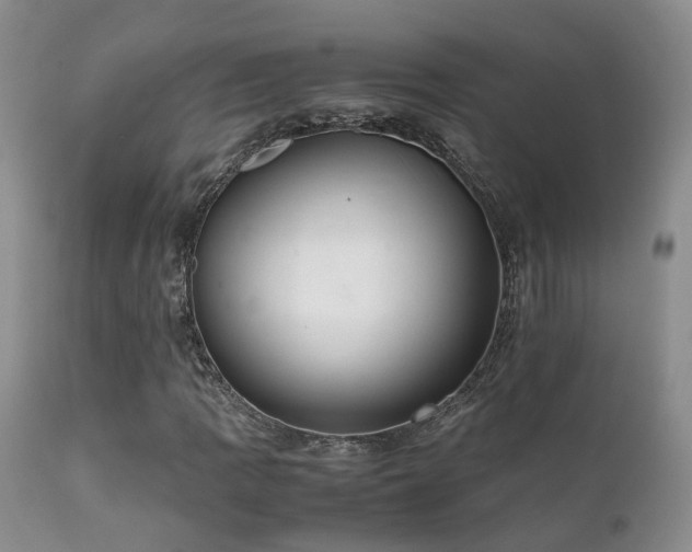 X0000112111109200908111435