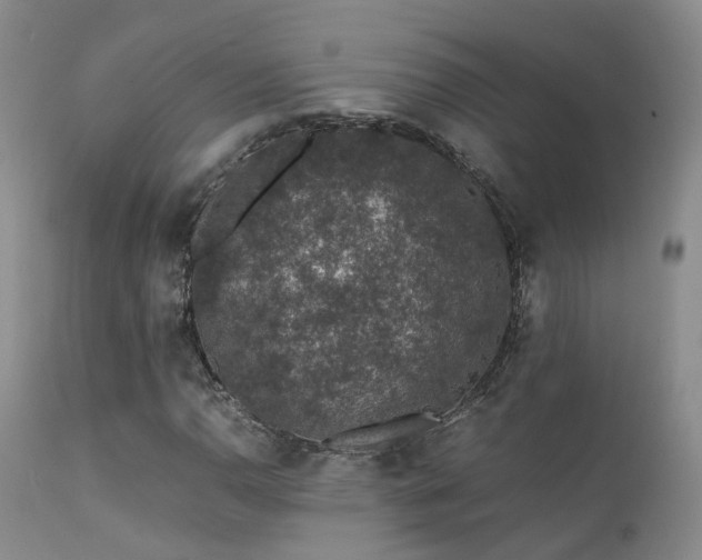 X0000112111110200908111435