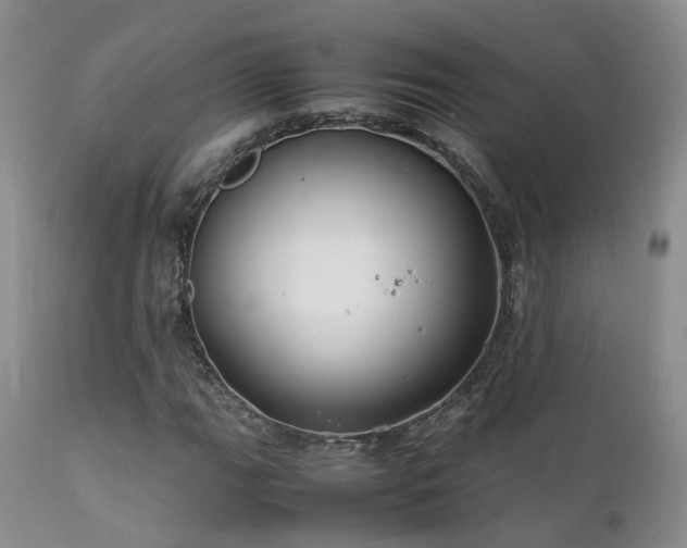 X0000112111111200908111435