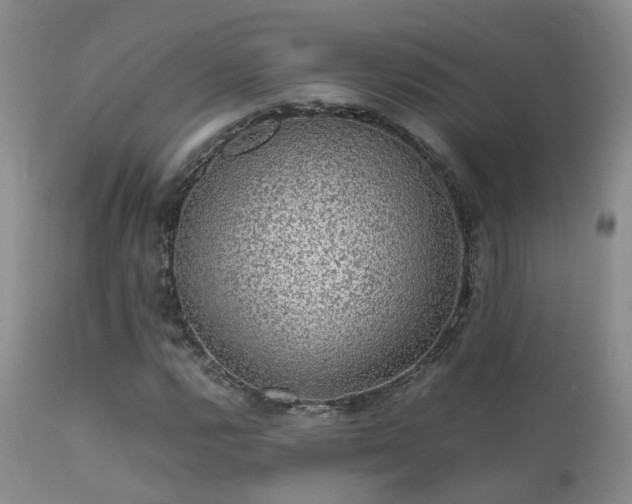 X0000112111112200908111435