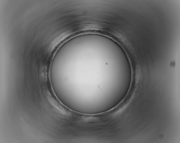 X0000112111113200908111435