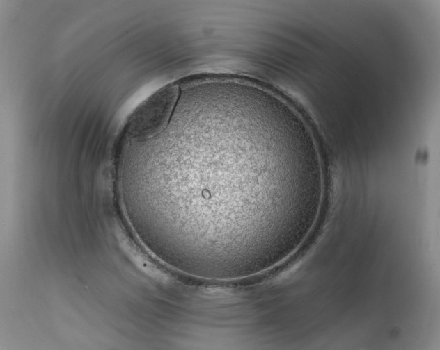 X0000112111114200908111435