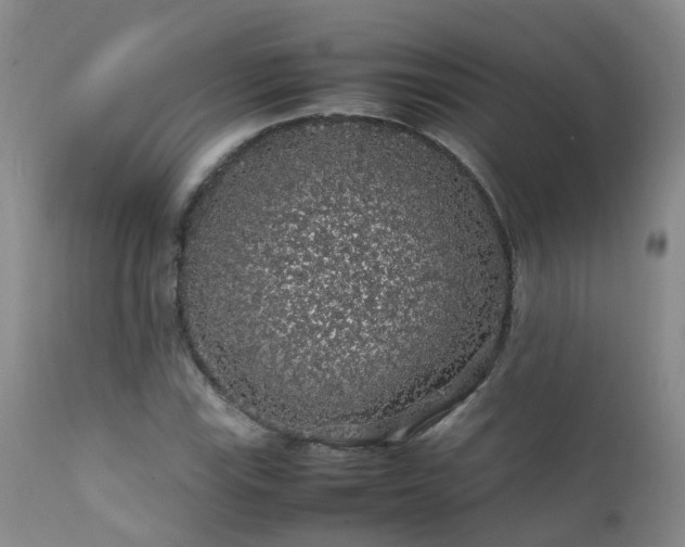 X0000112111115200908111435