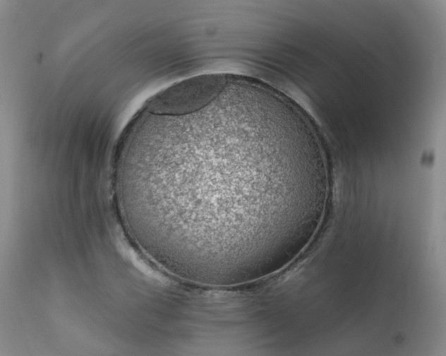 X0000112111116200908111435