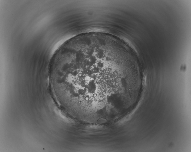 X0000112111117200908111435